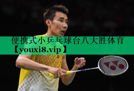 便攜式小乒乓球臺(tái)八大勝體育