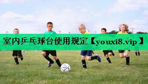 室內(nèi)乒乓球臺(tái)使用規(guī)定