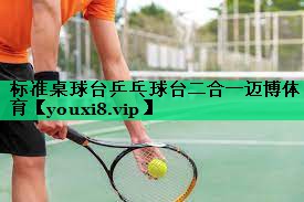標(biāo)準(zhǔn)桌球臺(tái)乒乓球臺(tái)二合一邁博體育