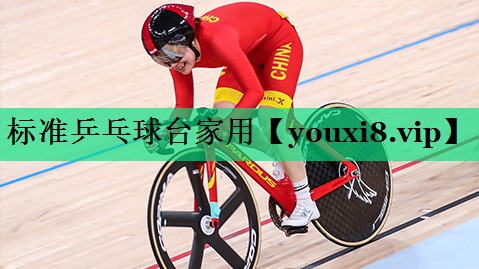 標(biāo)準(zhǔn)乒乓球臺(tái)家用