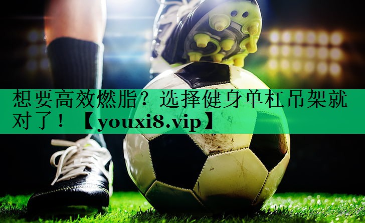 想要高效燃脂？選擇健身單杠吊架就對了！