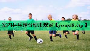 室內(nèi)乒乓球臺使用規(guī)定 室內(nèi)乒乓球臺使用規(guī)定